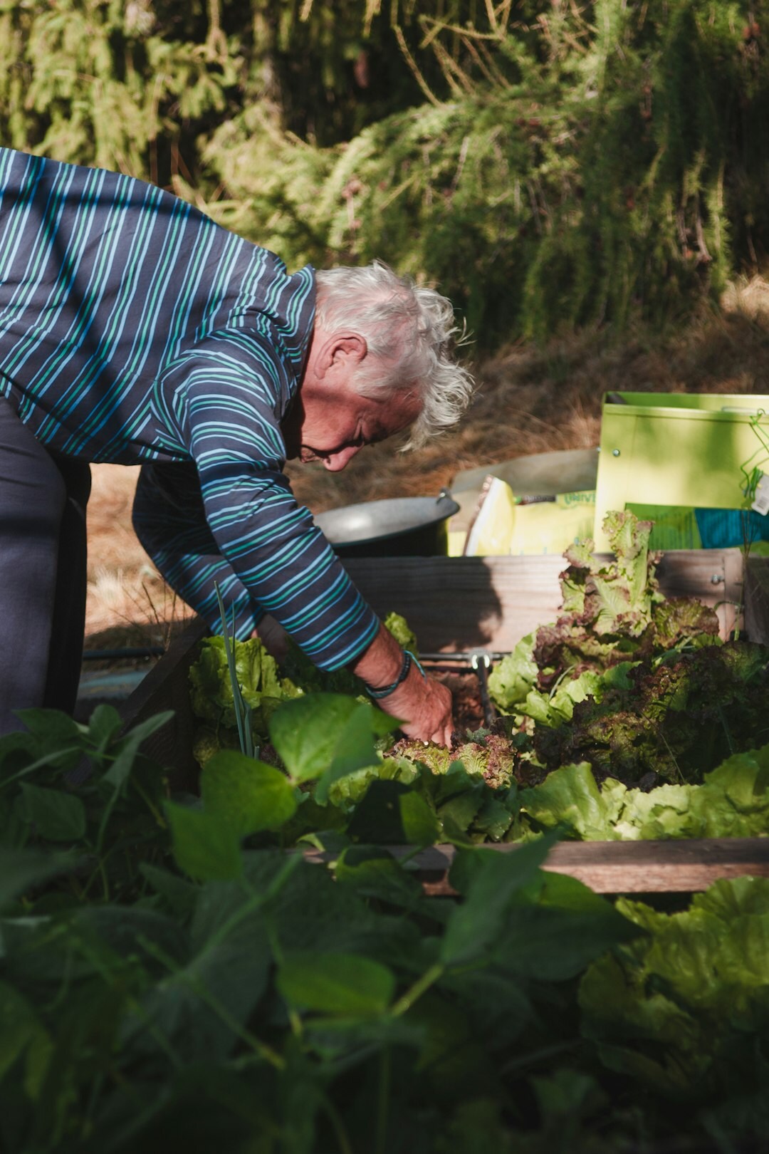 man working in garden